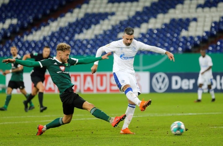Struggling Schalke sack Ibisevic, suspend Harit, Bentaleb