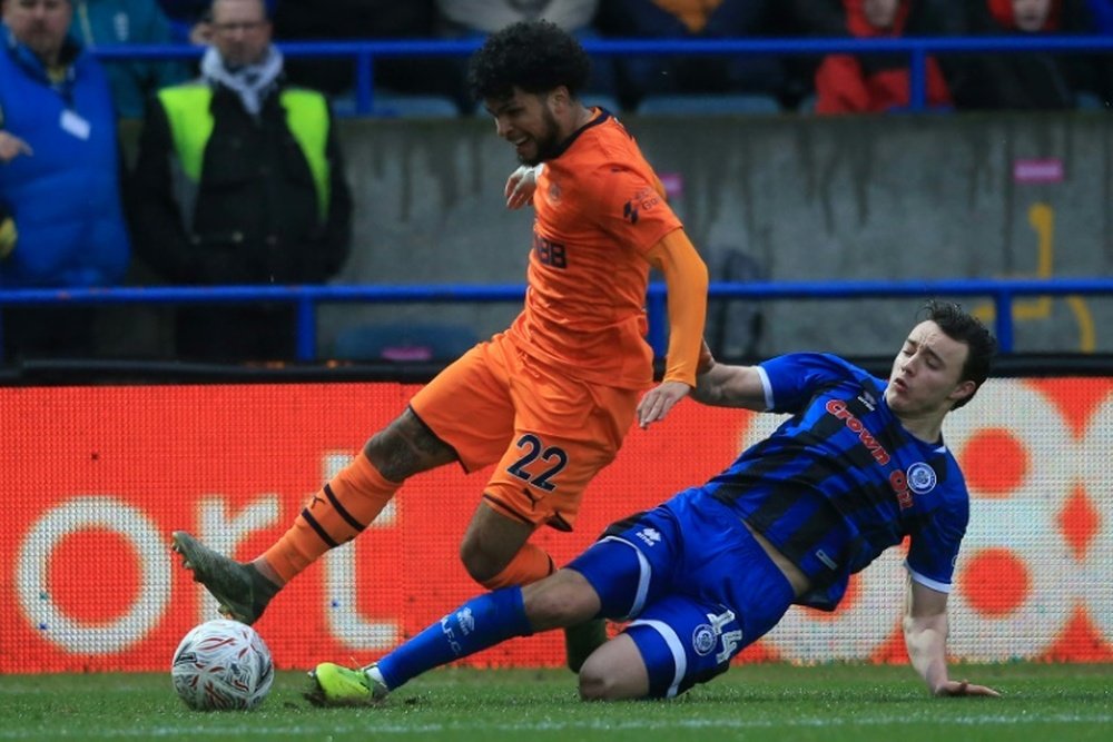 Newcastle held by minnows Rochdale as old stager Wilbraham lights up FA Cup. AFP