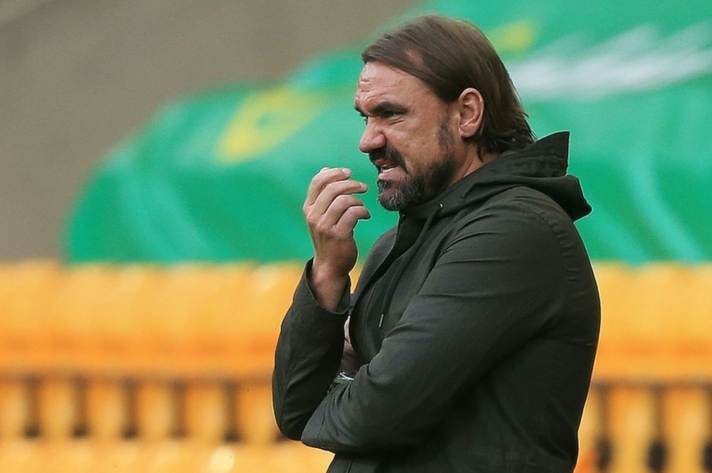 Daniel Farke's Norwich are now champions of the Championship. AFP