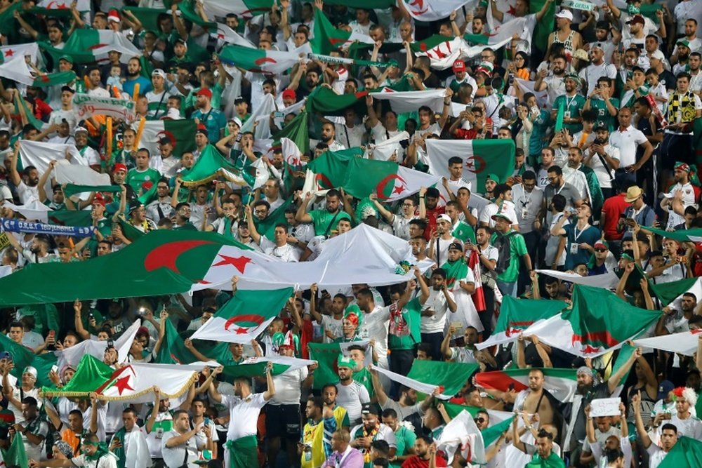 Algerian fans switch their Friday focus from politics to football