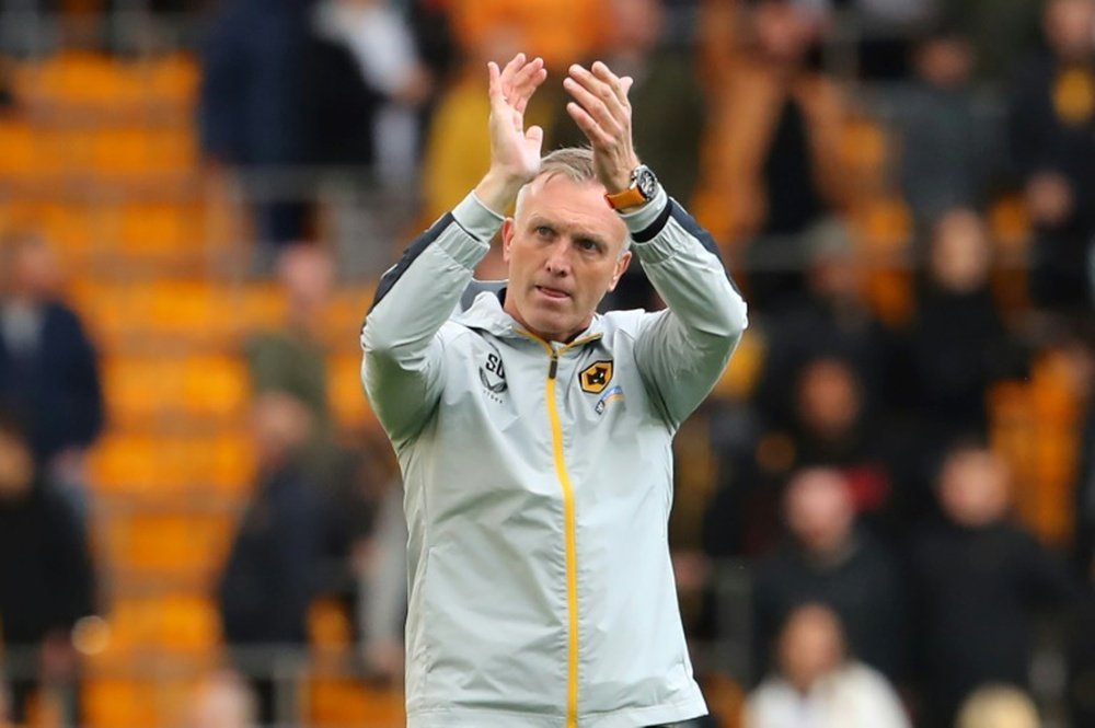 Wolves are looking for a coach. AFP