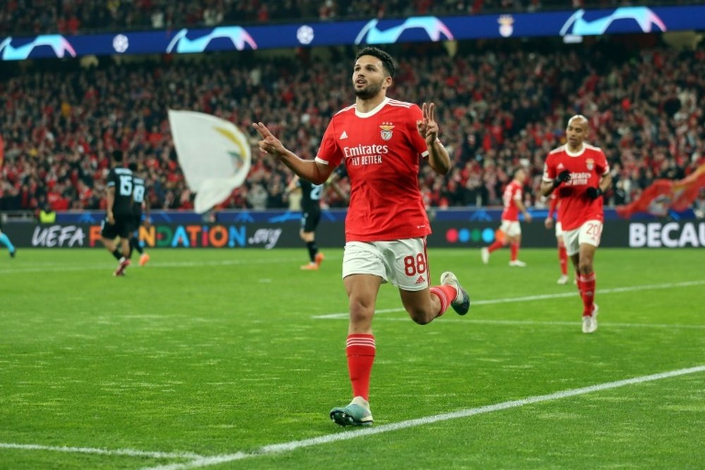 Benfica show Brugge who's boss. AFP