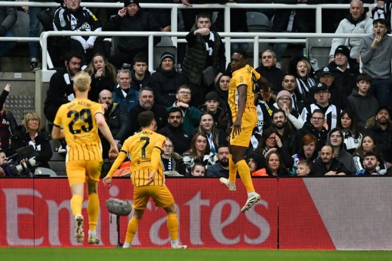 Brighton's Danny Welbeck (R) scored against Newcastle on Sunday. AFP