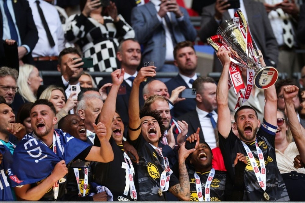 Winning promotion will finally silence Martin's doubters. AFP