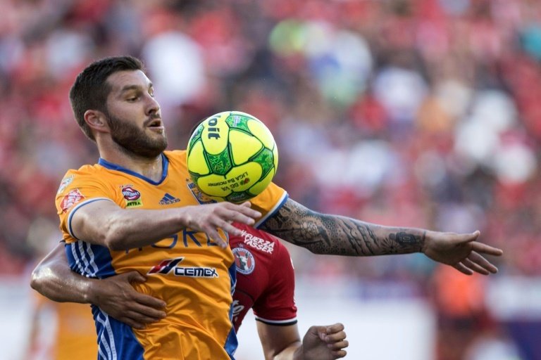 Les Tigres de Gignac en finale du championnat mexicain contre Guadalajara