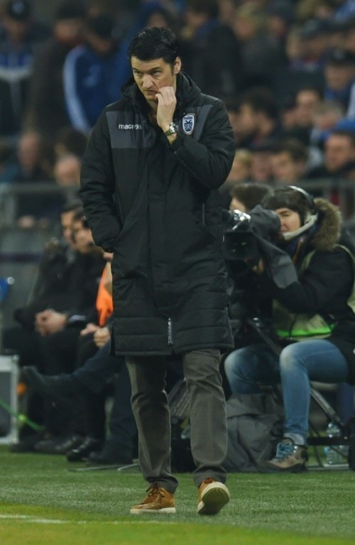 Vladimir Ivic, lentraîneur serbe du PAOK Salonique, le 22 février 2017 lors du match à Gelsenkirchen