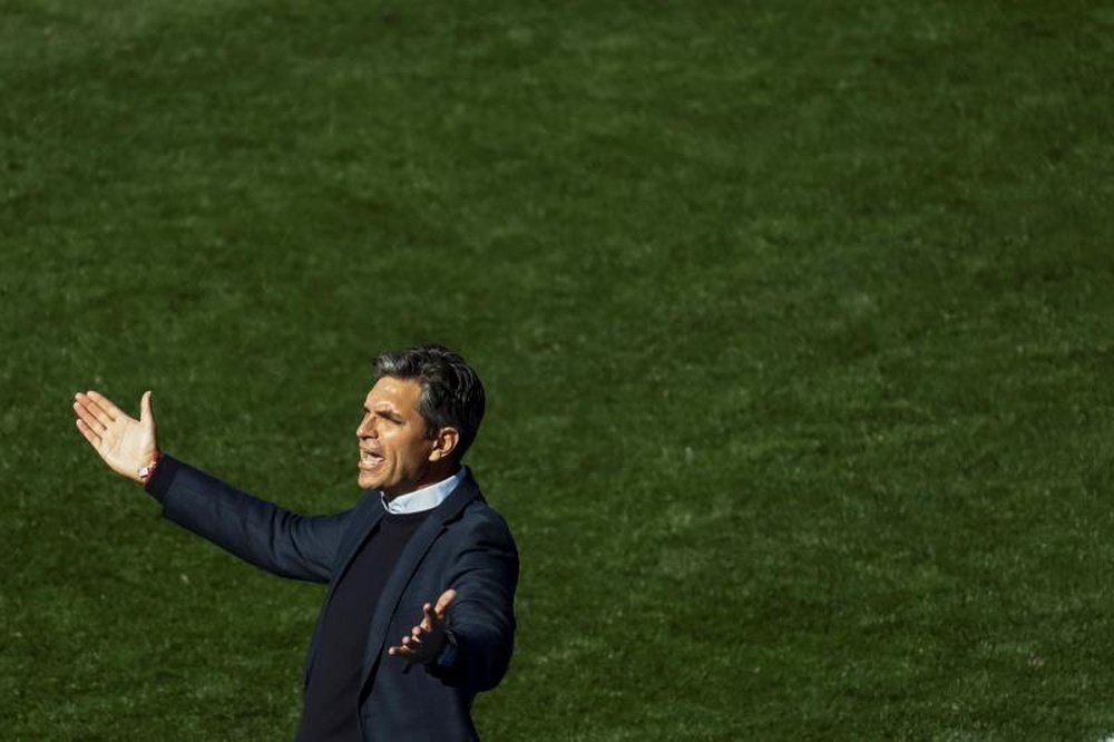 Pellegrino no se esconde. EFE/ Emilio Naranjo