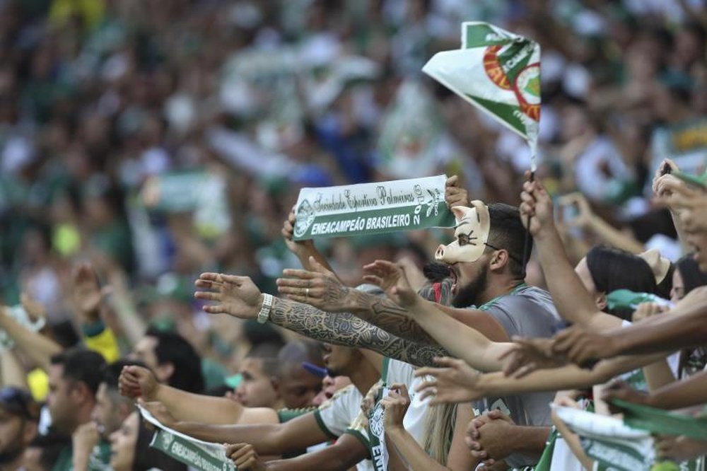 Palmeiras se pasa al césped artificial. EFE/Sebastião Moreira/Archivo