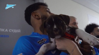 VÍDEO: cuando los jugadores del Zenit salieron al campo con perros en adopción