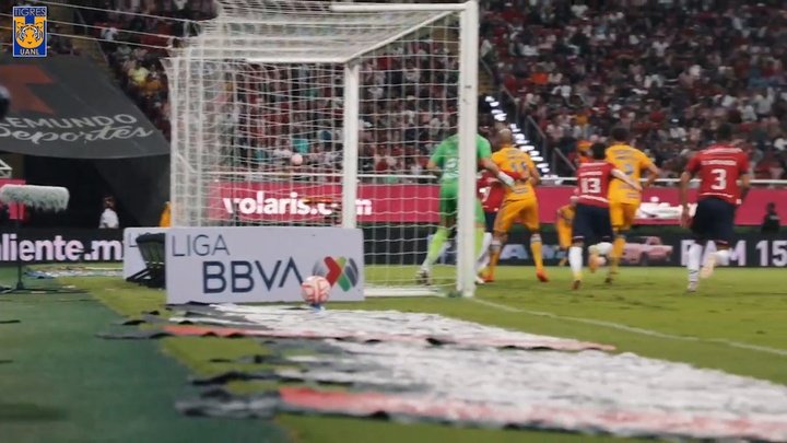 VÍDEO: el estreno goleador de Samir Caetano con Tigres