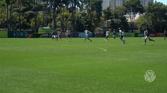 Elenco do Palmeiras faz último jogo-treino da pré-temporada. DUGOUT
