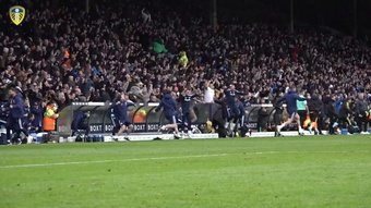 This was the reaction from the fans at Elland Road as Leeds defeated Norwich. DUGOUT