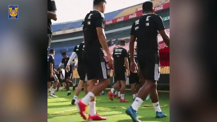 VIDEO : Gignac et Thauvin reprennent l'entrainement avec les Tigres