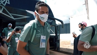 Bastidores da vitória do Palmeiras sobre o Novorizontino no Paulistão. DUGOUT