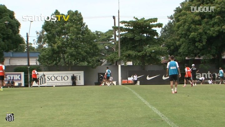 VIDEO: Robinho's amazing training session goal at Santos
