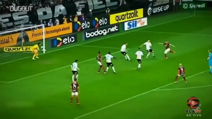 VIDEO: Everton Ribeiro's Flamengo highlights