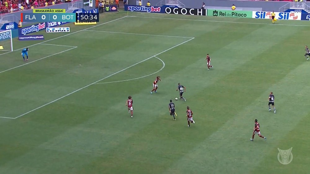 A second half goal saw Flamengo beaten by Botafogo. DUGOUT