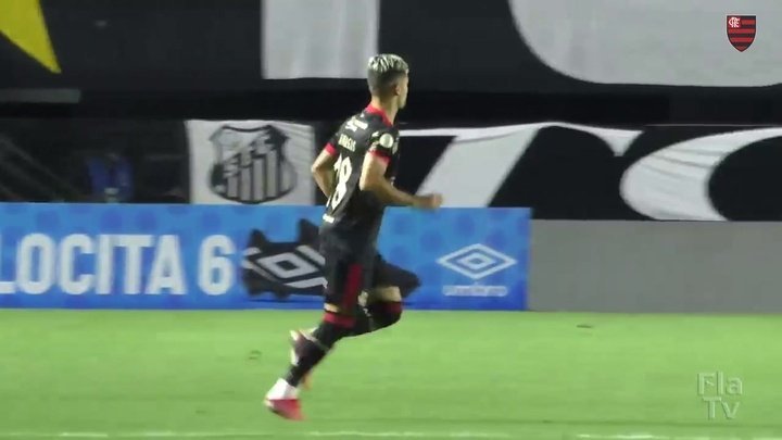 VIDÉO : Le meilleur d'Andreas Pereira à Flamengo
