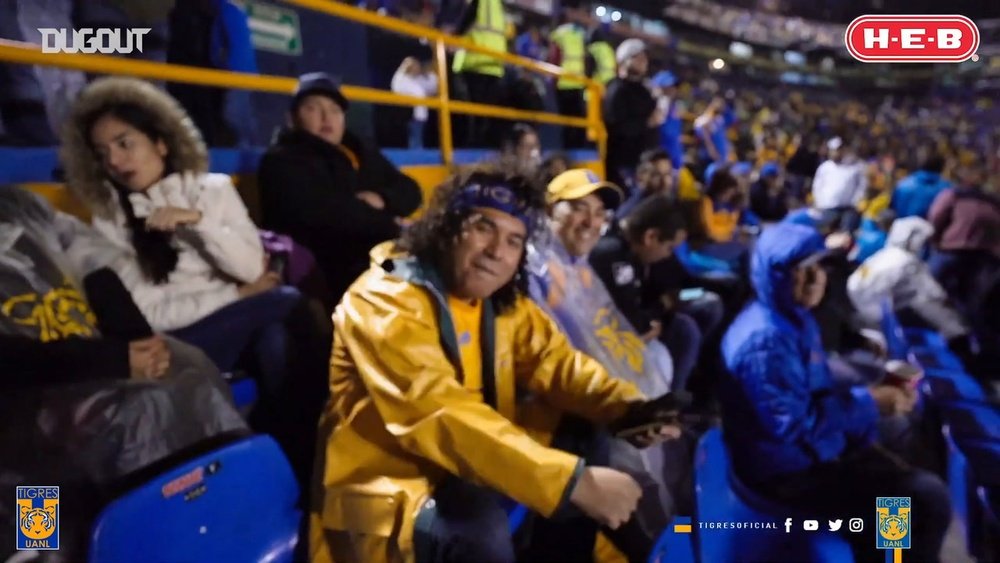 Tigres celebrated halloween. DUGOUT