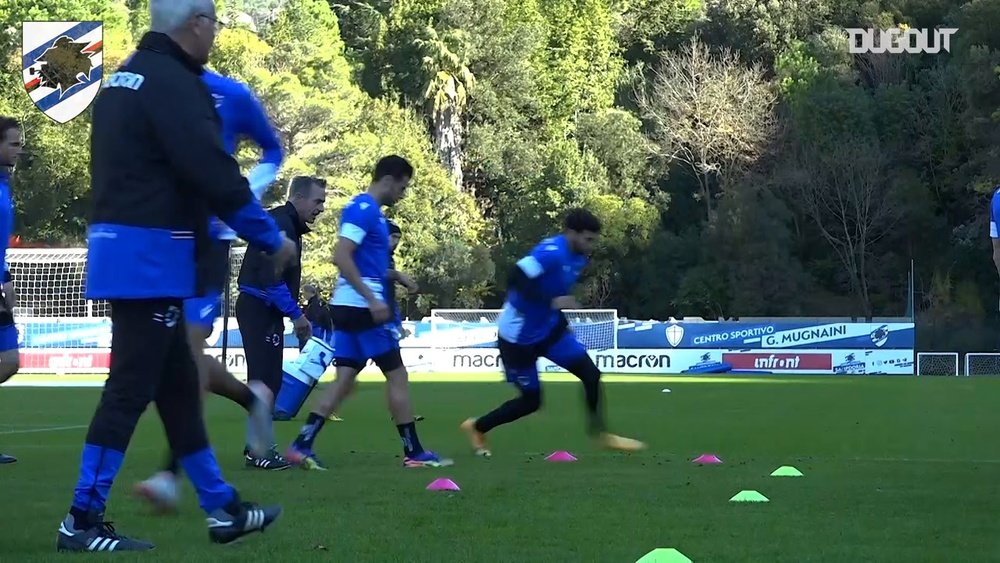 Sampdoria back on the field ahead of Bologna game. DUGOUT