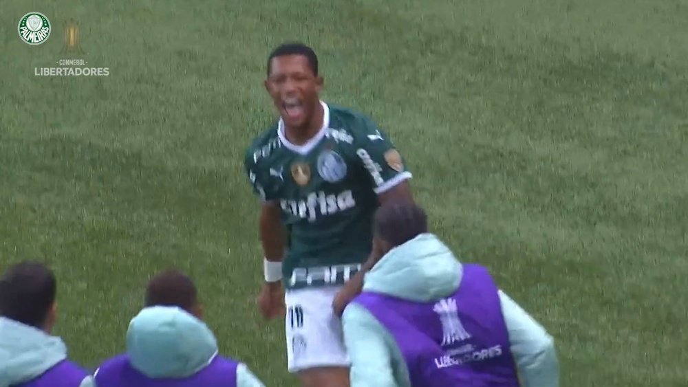 O gol de Danilo que garantiu a vitória do Palmeiras na Libertadores. DUGOUT