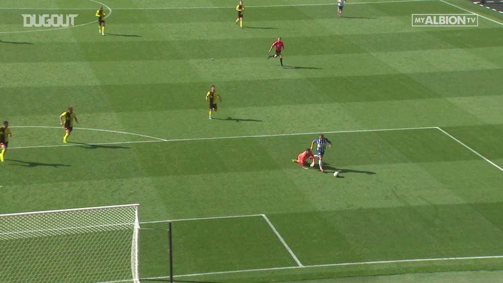 La première saison de Neal Maupay à Brighton. dugout