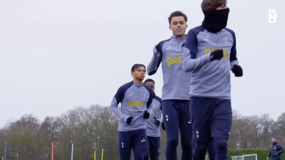 Richarlison and Son Heung-min are having a superb season. DUGOUT