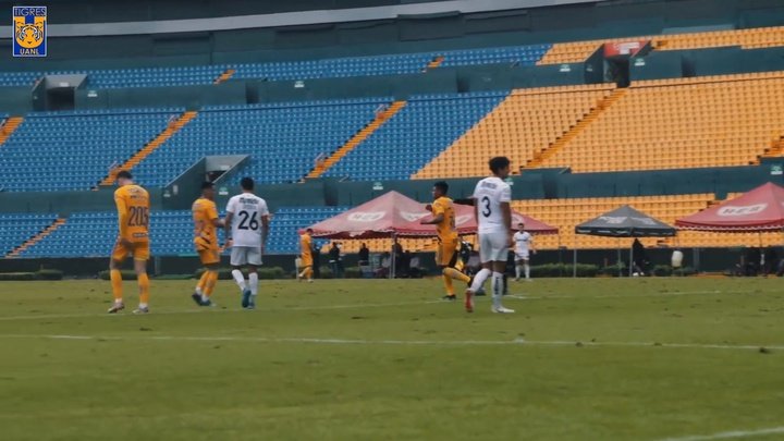 VÍDEO: los goles de Tigres en su amistoso contra Venados