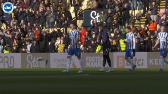 Maupay and Webster gave Brighton the win over Watford. DUGOUT
