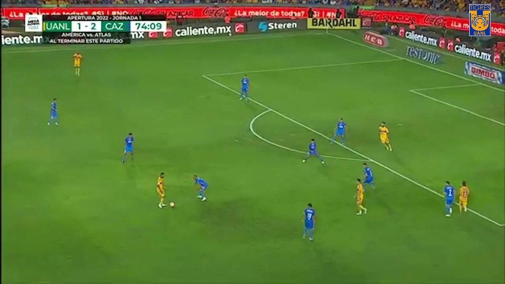 Tigres were beaten 2-3 by Cruz Azul in the Mexican league. DUGOUT