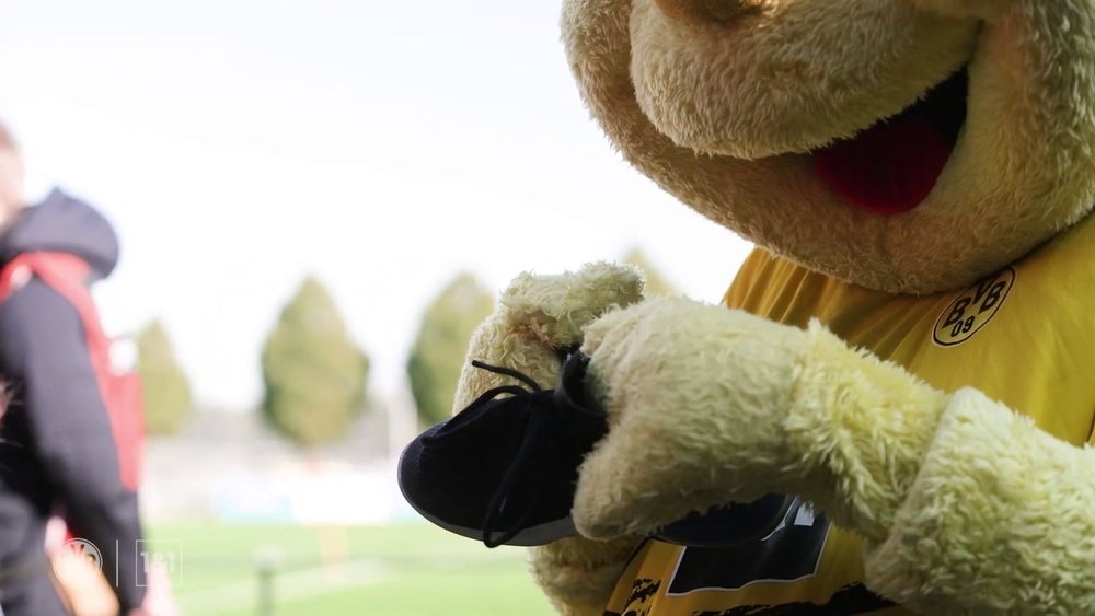 Reus, Nmecha & Co. incontrano i tifosi del BVB in allenamento. Dugout