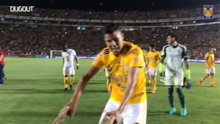 VIDEO: Tigres celebrate after beating Monterrey in Clausura semis