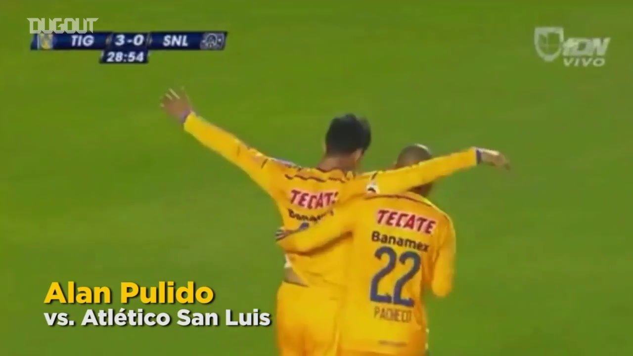 VIDÉO : cinq superbes buts des Tigres en 2014