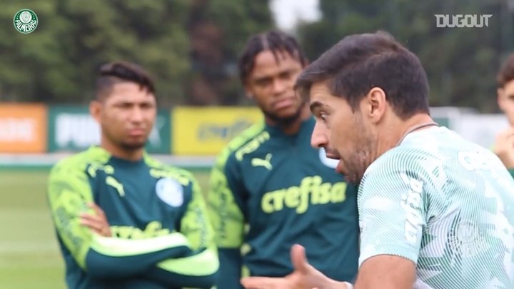 Palmeiras está pronto para decisão da Copa do Brasil