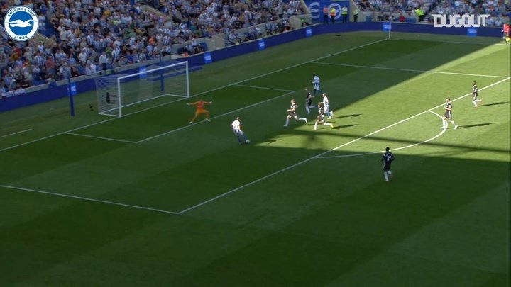 VIDEO: Glenn Murray's best Brighton goals!