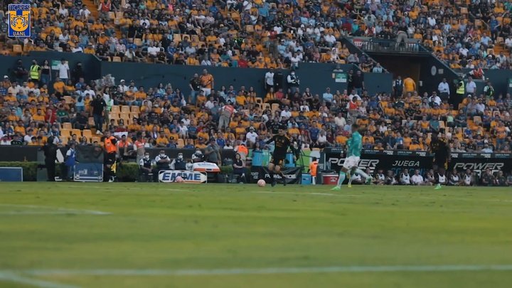 Las mejores imágenes de la victoria de León ante Tigres. DUGOUT