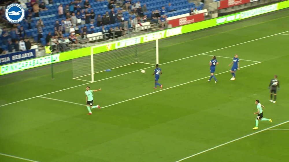Jakub Moder scored as Brighton won at Cardiff. DUGOUT