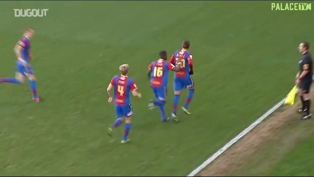Andre Moritz gave Crystal Palace a 3-1 victory over Wolves back in 2013. DUGOUT