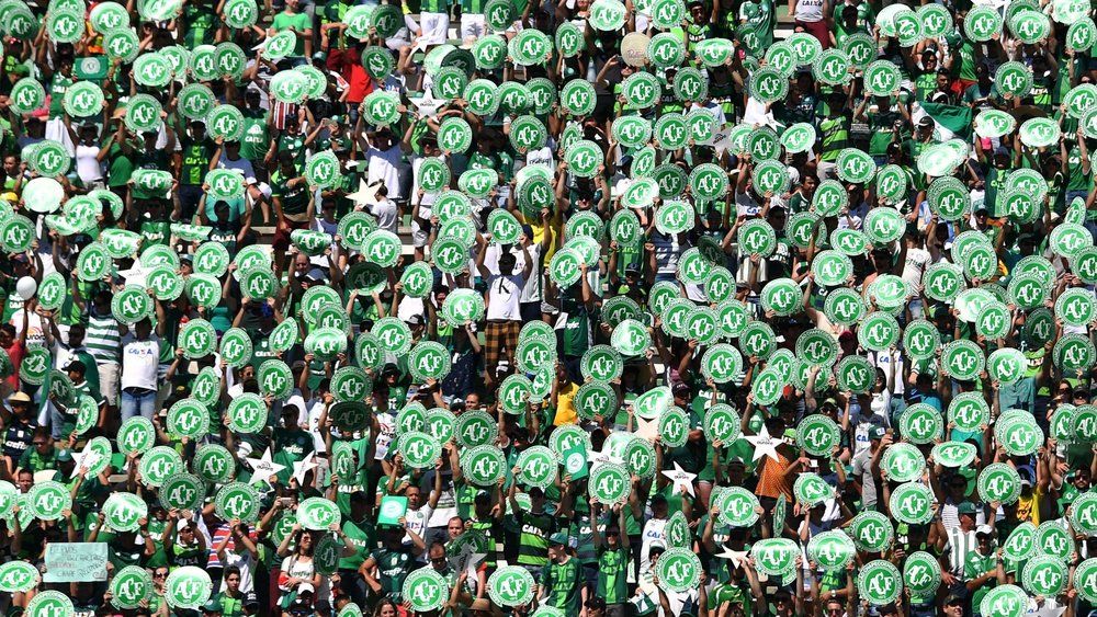 chapecoense - CROPPED