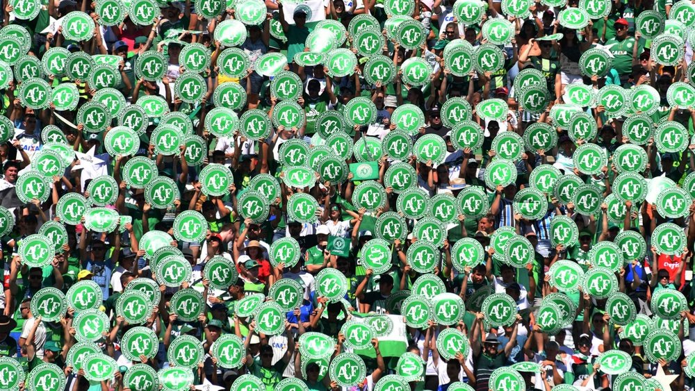 chapecoense fans-cropped