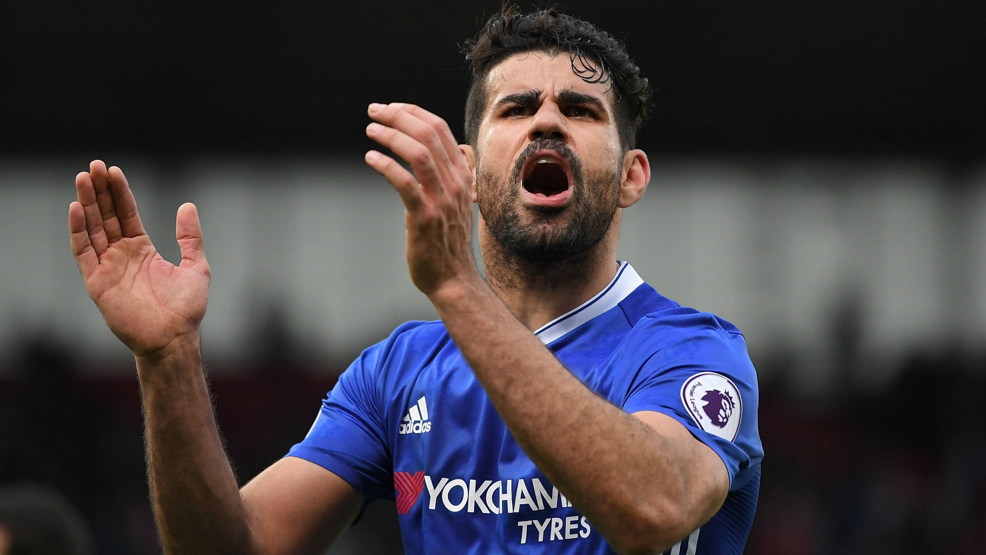 Costa-cropped
