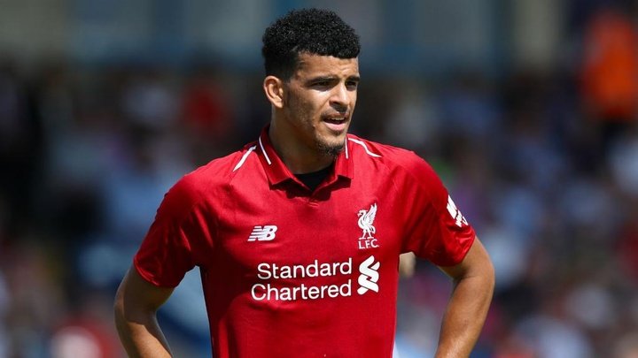 Solanke move has collapsed, confirms Palace boss Hodgson