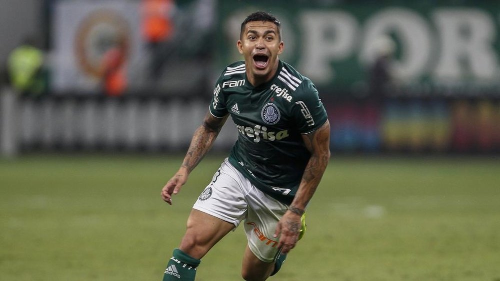 Dudu Palmeiras América-MG Brasileirão Série A. Goal