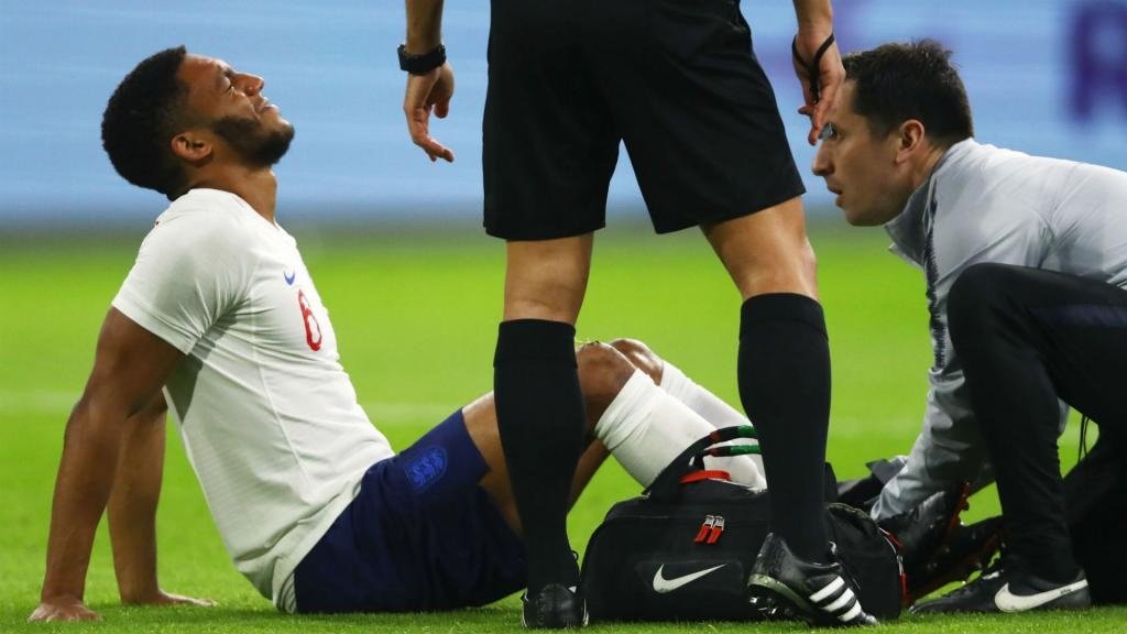 Gomez hobbled off after just 9 minutes against Holland. GOAL