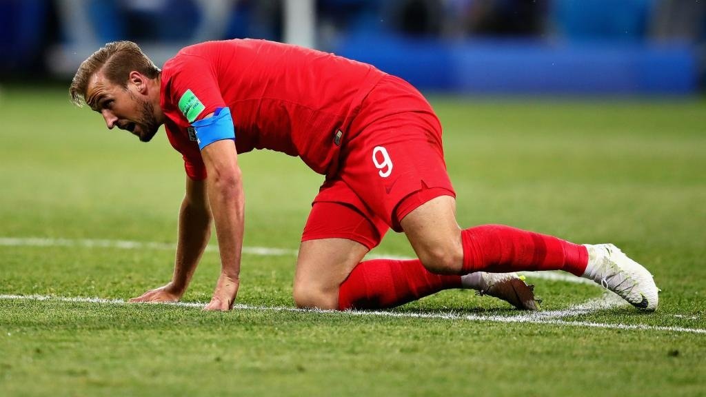 Kane reveals extent of fly infestation
