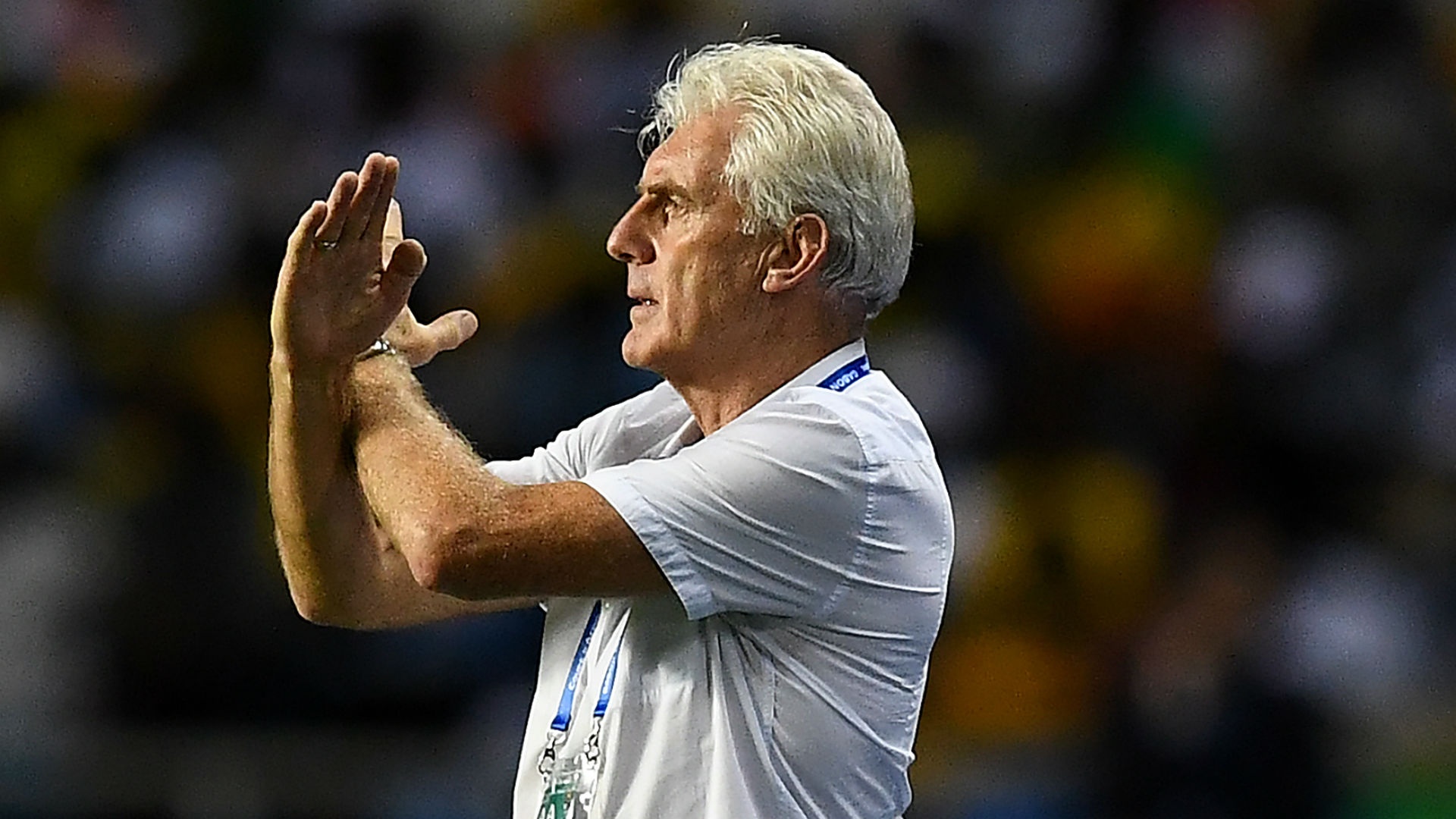 Broos predicts 'something great' for Cameroon