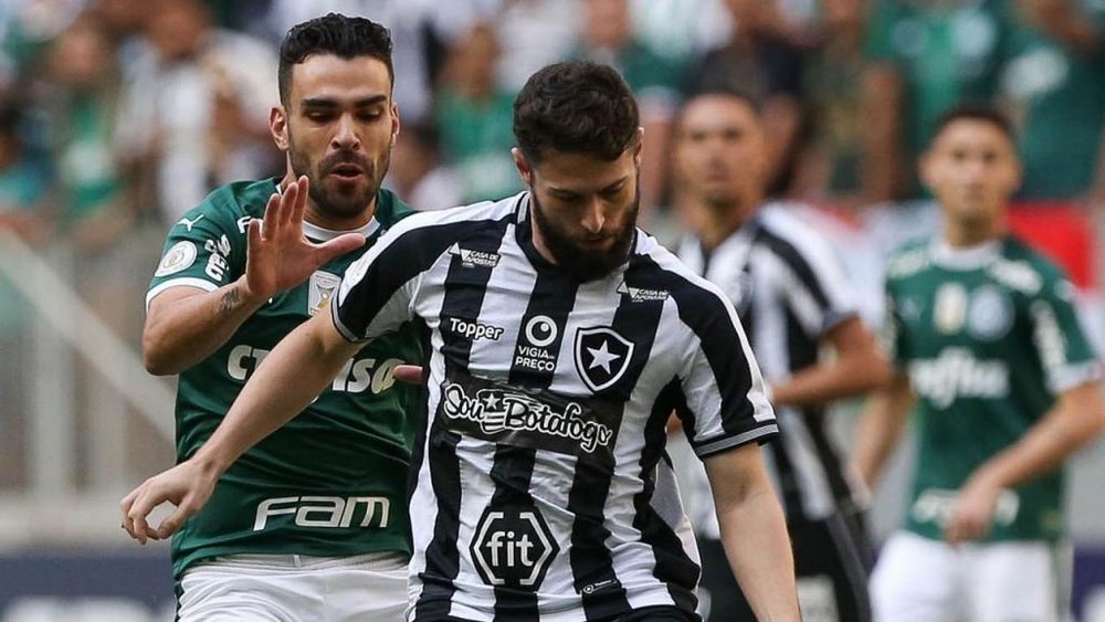 Botafogo quer anular jogo com Palmeiras. Goal