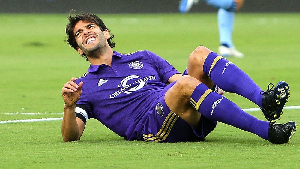 Kaka-cropped