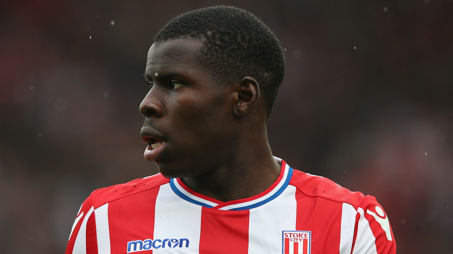 Shawcross: Zouma among the best