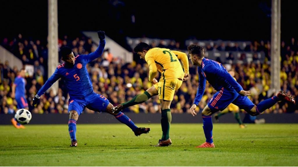 Van Marwijk salutes Luongo display. Goal